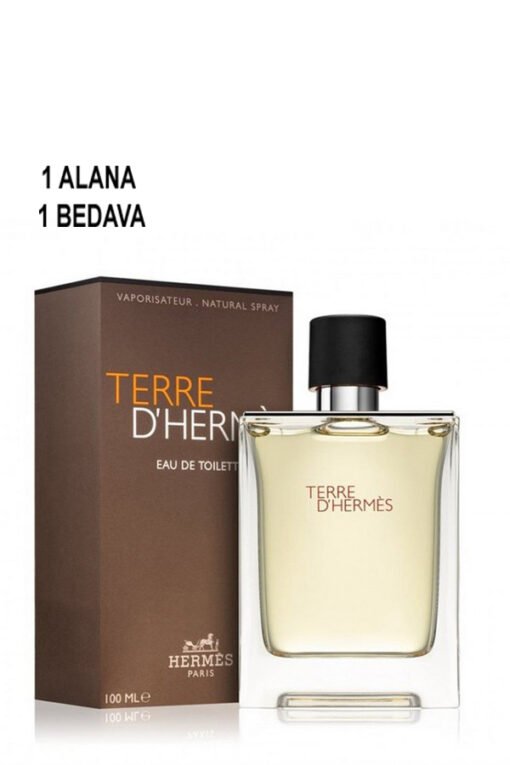 Hermes Terre D Hermes EDP 100 ML